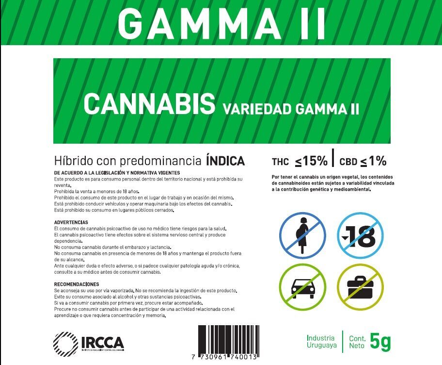 Nueva Cannabis Uruguay - Variedad Cannabis Gamma II 
